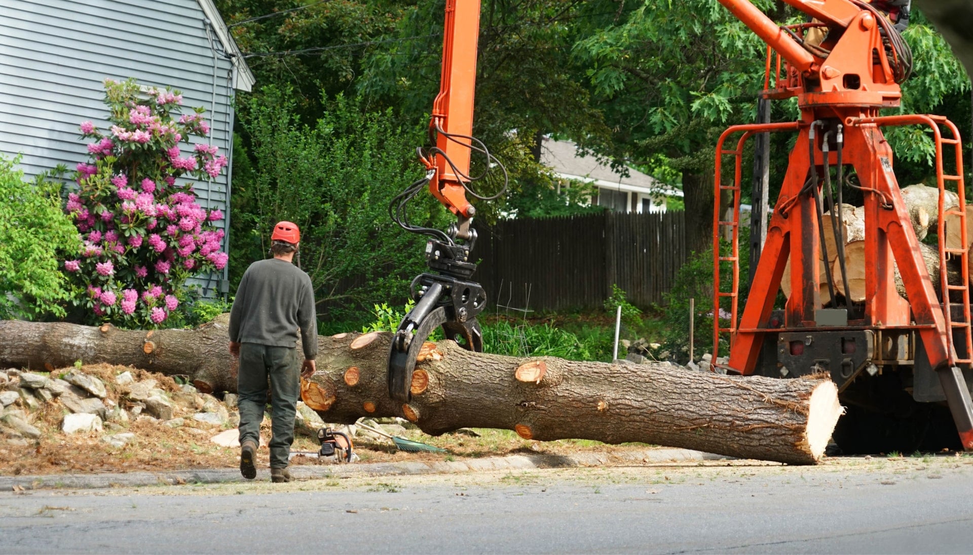 Local partner for Tree removal services in Santa Clarita